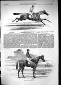 Antique Print 1856 Ellington Horse Winner Drby Mincepie Oaks Jockeys Sport 19th
