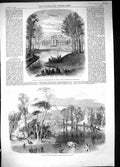 Antique Old Print 1860 Garden Acclimatisation Paris Lake Kew Gardens London