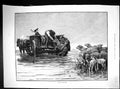 Old 1886 Flood Fens Rescue Sheep Mr Beasley Author Stammering Treatme 19th
