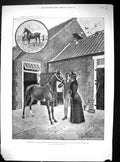 Old 1894 Princess Wales Horse Alexandra Sandringham Denmark HarrisonVictorian