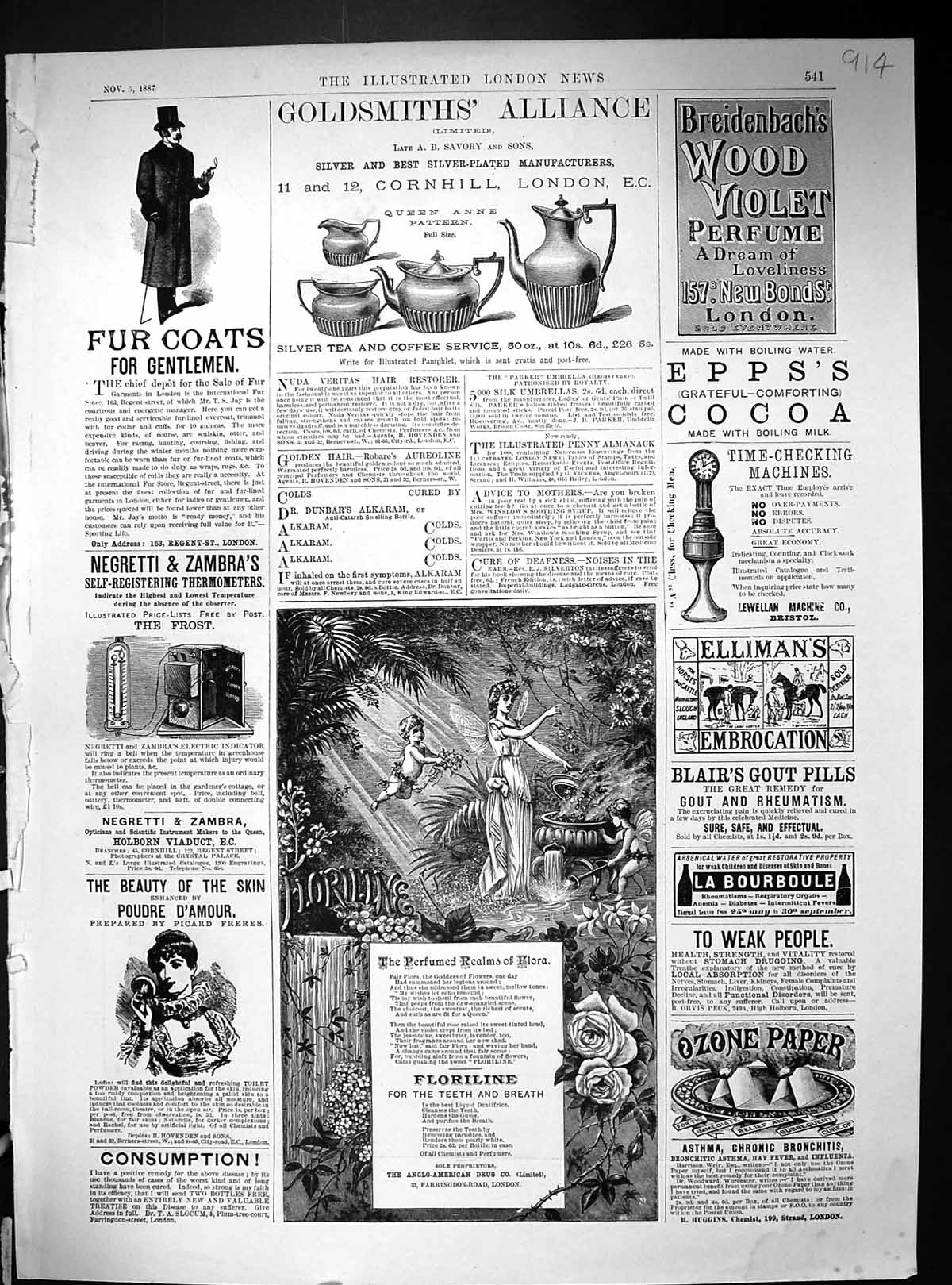 Antique Print 1887 Gsmith Floriline Mount Edgcumbe Wilkinson Wilson Alger 19th