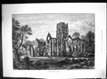 Old 1885 Fountains Abbey Yorkshire Louis Velveteen Eno'S Salt Jongh'S 19th