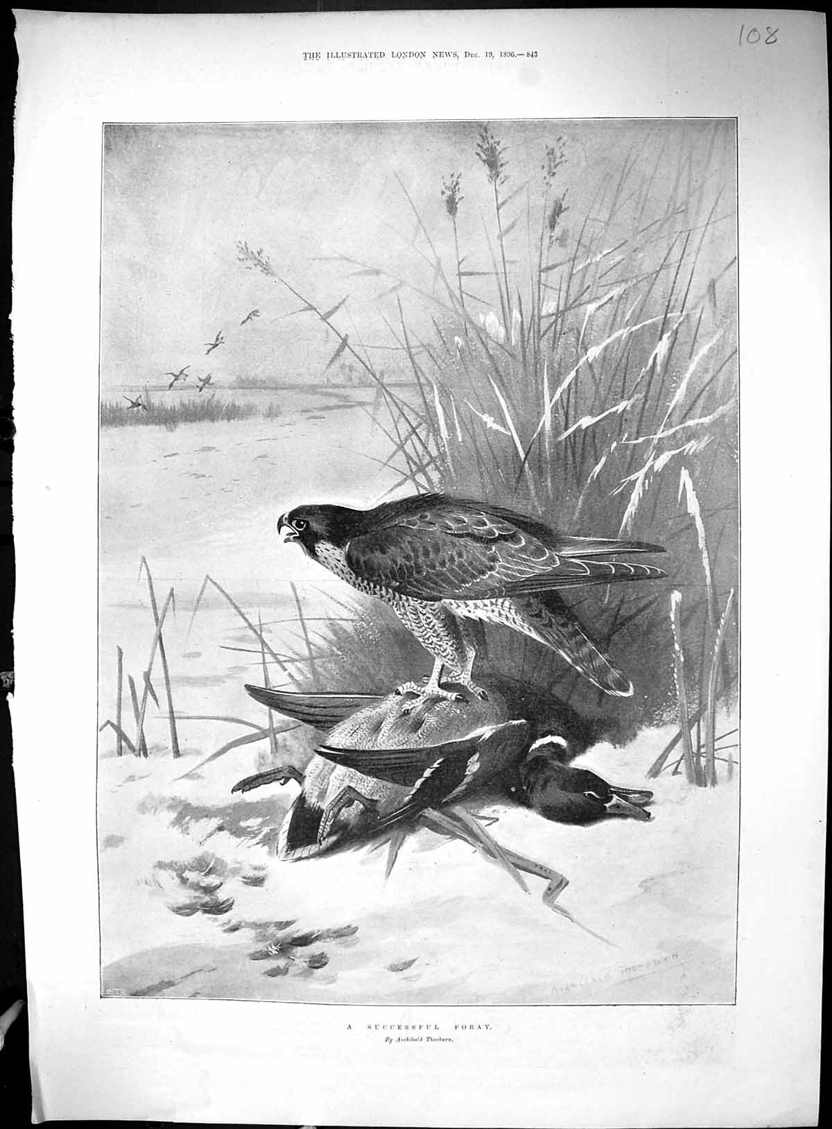 Old India Snow Pindiri Glacier Athens Floods Ilissus 1896 Birds PreyVictorian