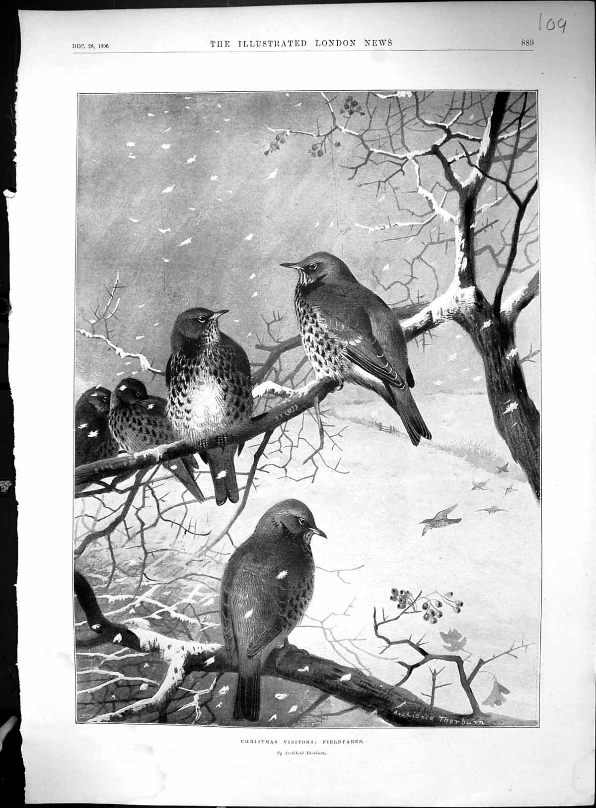 Old 1896 Christmas Birds Fieldfarers Ye Salutation Inn Men Celebratio 19th