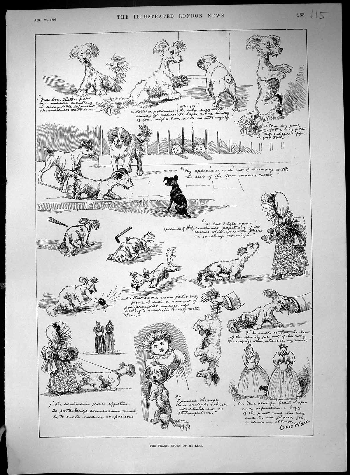 Antique Old Print Artillery Camp Okehampton Devon War 1893 Story Dogs Wain