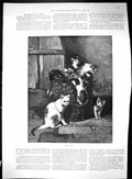 Old Antique Print 1896 Kittens Play Cats Portrait Jules Simon Politician 19th