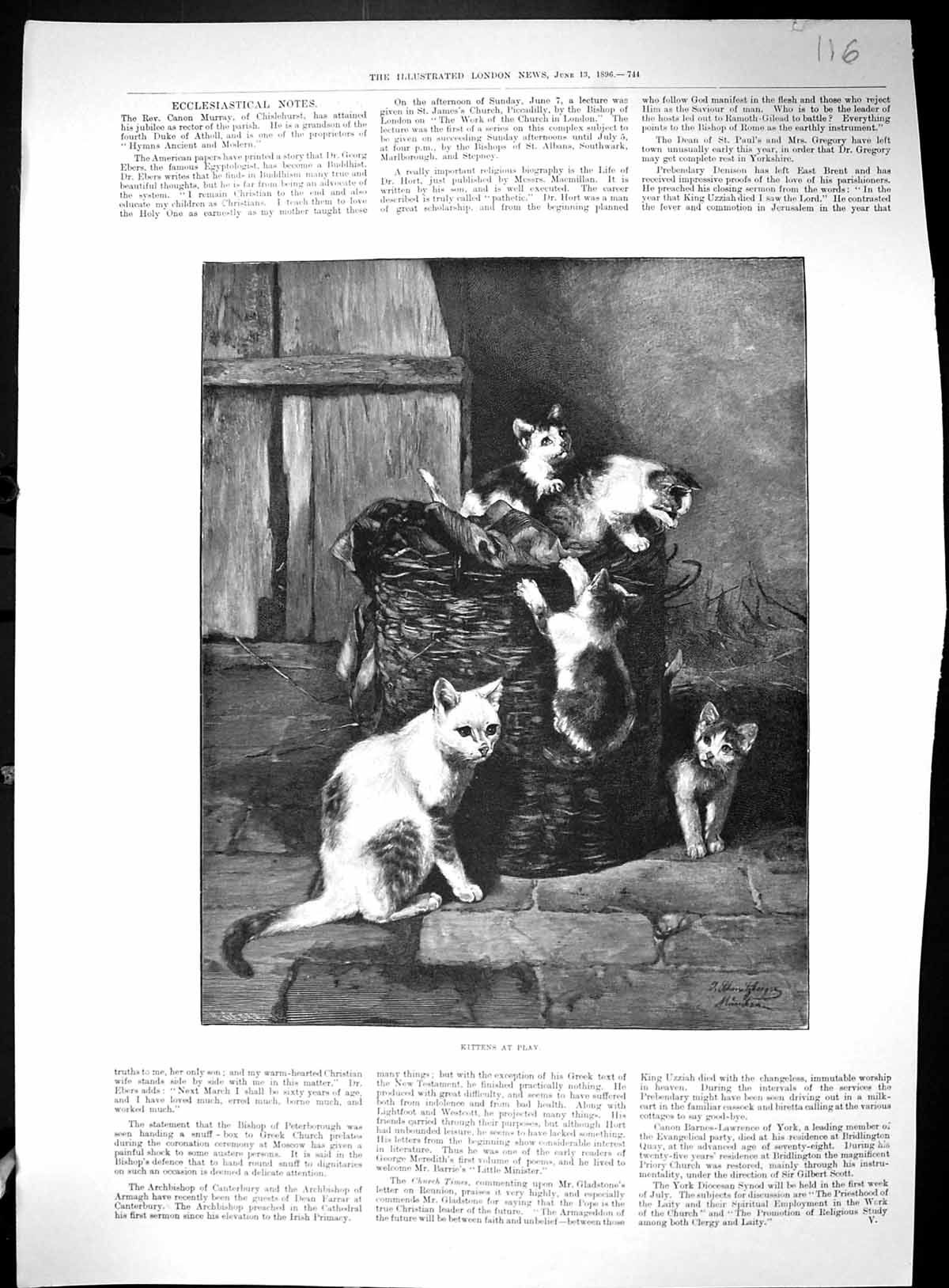 Old Antique Print 1896 Kittens Play Cats Portrait Jules Simon Politician 19th