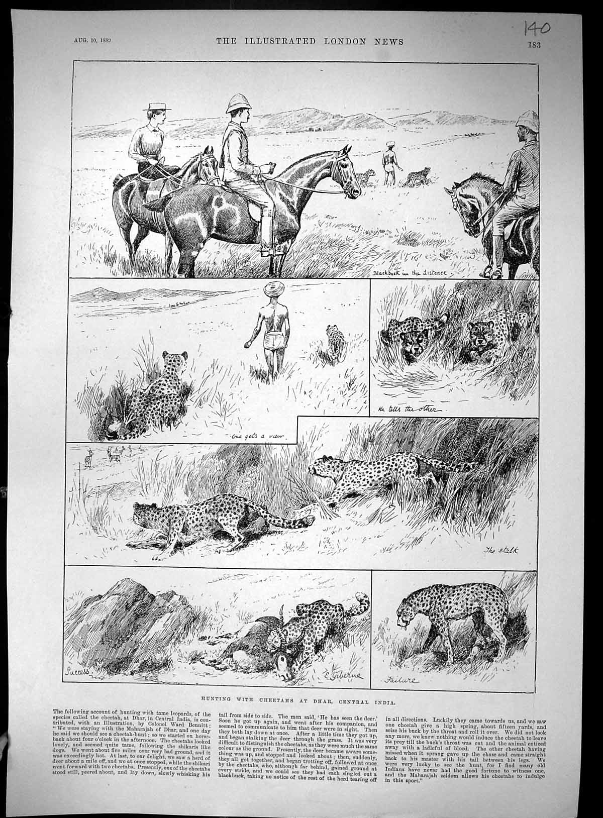 Old 1889 Hunting Cheetah Dhar India King Prussia German Emperor Dee R 19th