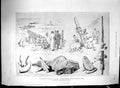 Old 1898 Discovery Crannog River Clyde Hotel Metropole Brighton Sandg 19th