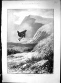 Old 1899 Twelfth Grouse Hunting Shooting Windmill Point Niagara Gorge 19th