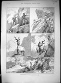 Old 1890 Markhar Shooting Kajang Mountains Cashmere Hunting Ladies Re 19th