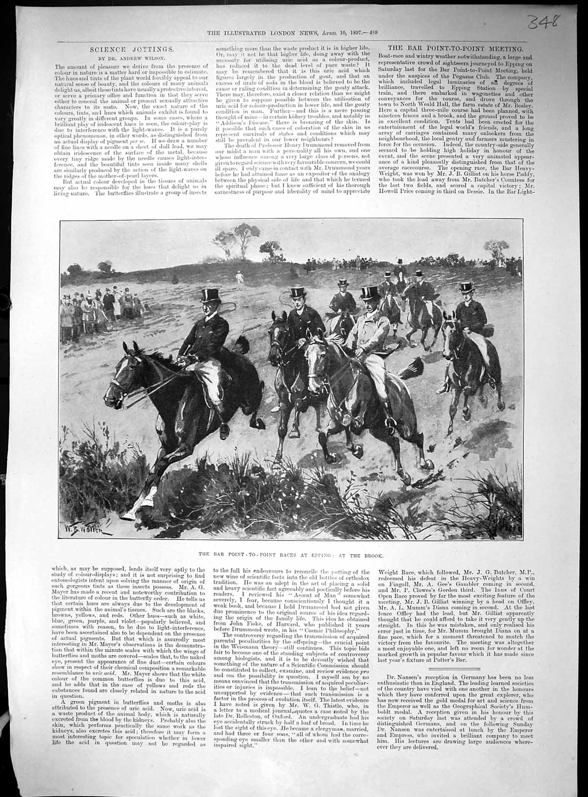 Old 1897 Point-To-Point Races Epping Horses Jumping Brook Queen Cimie 19th
