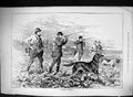 Antique Print 1881 Partridge Shooting Hunting Birds Gun Dogs Sport Huntsmen