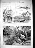 Old 1889 Anglian Boat Club Regatta Platypus Shooting Yarra River Spor Victorian
