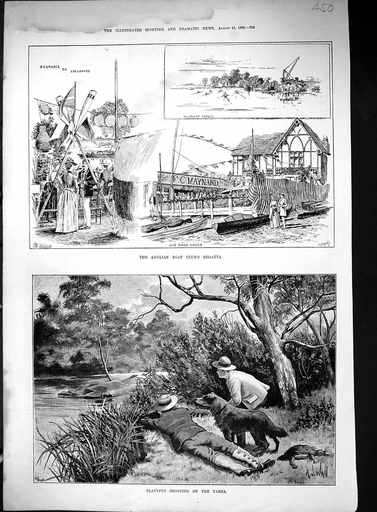 Old 1889 Anglian Boat Club Regatta Platypus Shooting Yarra River Spor Victorian