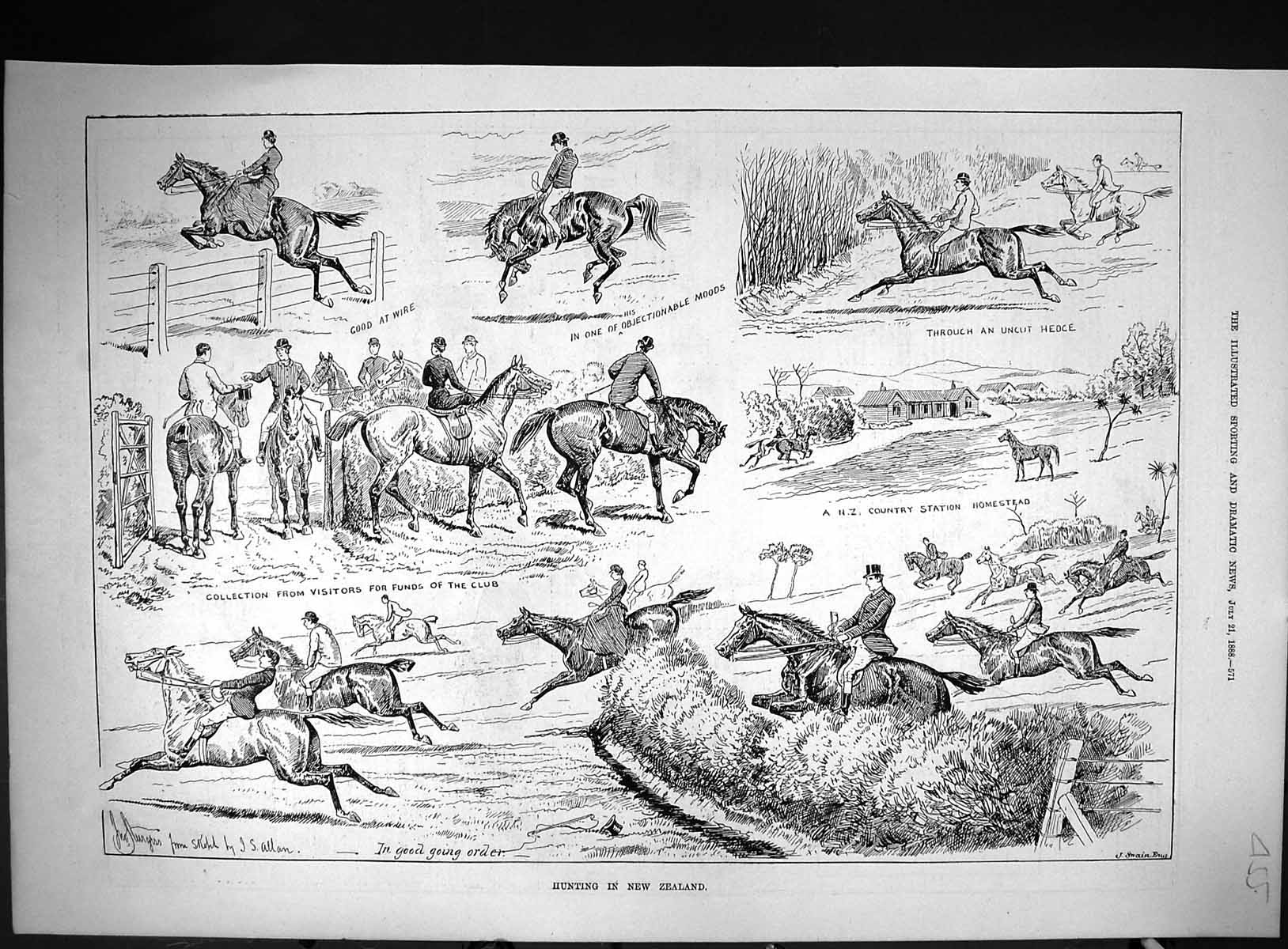 Antique Old Print 1888 Hunting New Zealand Horses Jumping Hedges Sport Swain