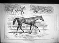 Old 1888 Kempton Park Great Jubilee Stakes Horses Sport Thunderstorm Victorian