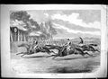 Original Old Antique Print 1881 Horse Racing Sport Jockeys Sport Finish Line