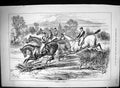 Old 1881 Bowling Hurdle Horse Racing Jockeys Jumping Hedge Sport Swai Victorian