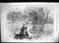 Antique Print 1881 Stalking Wild Ducks Hunting Shooting Birds Temple Swain 19th