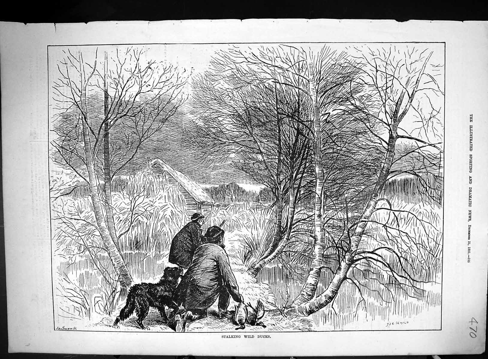 Antique Print 1881 Stalking Wild Ducks Hunting Shooting Birds Temple Swain 19th