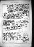Original Old Antique Print 1888 Fox Cub Hunting Hounds Dogs Huntsmen Sport 19th