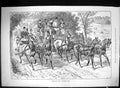 Old Antique Print 1888 Goodwood Park Horse Racing Spectators Sport Swain 19th