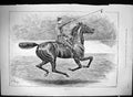 Original Old Antique Print 1889 Horse Sier Lance Sword Sport Swain Victorian