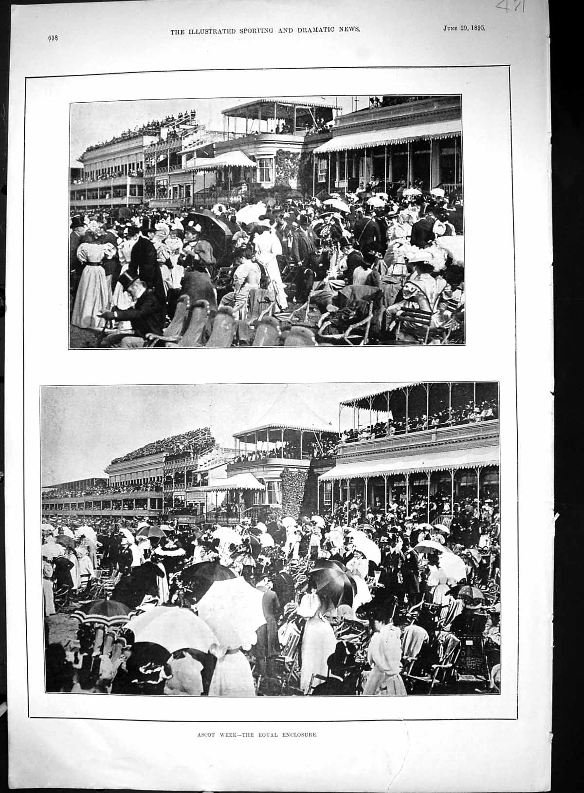 Antique Old Print 1895 Ascot Horse Racing Royal Enclosure Sport Spectators 19th
