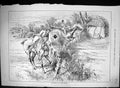 Original Old Antique Print 1881 Fox Hunting Horse Refusing Hedge Huntsman Sport