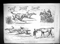 Old 1889 Grand International Steeplchase Sandown Park Horses Kilworth Victorian