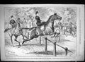 Old 1889 Advertisement Ellimans Embrocation Horses Hunting Coach Swai Victorian