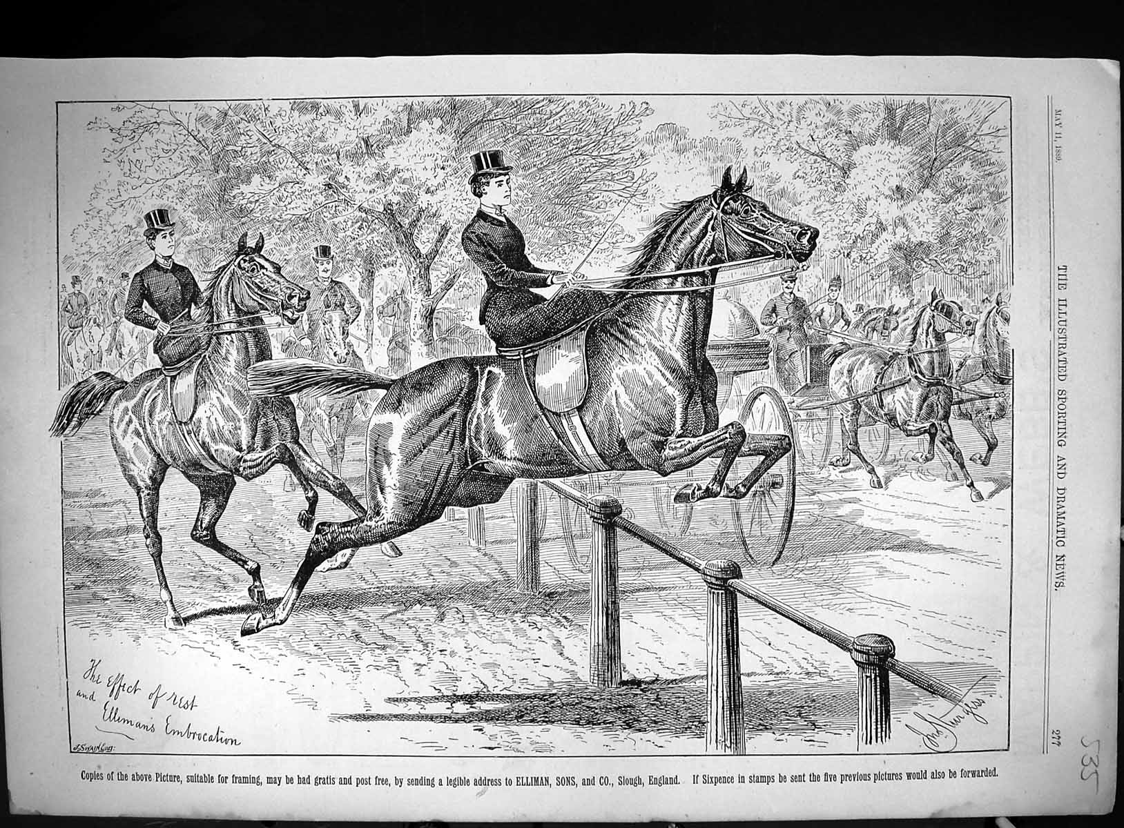 Old 1889 Advertisement Ellimans Embrocation Horses Hunting Coach Swai Victorian