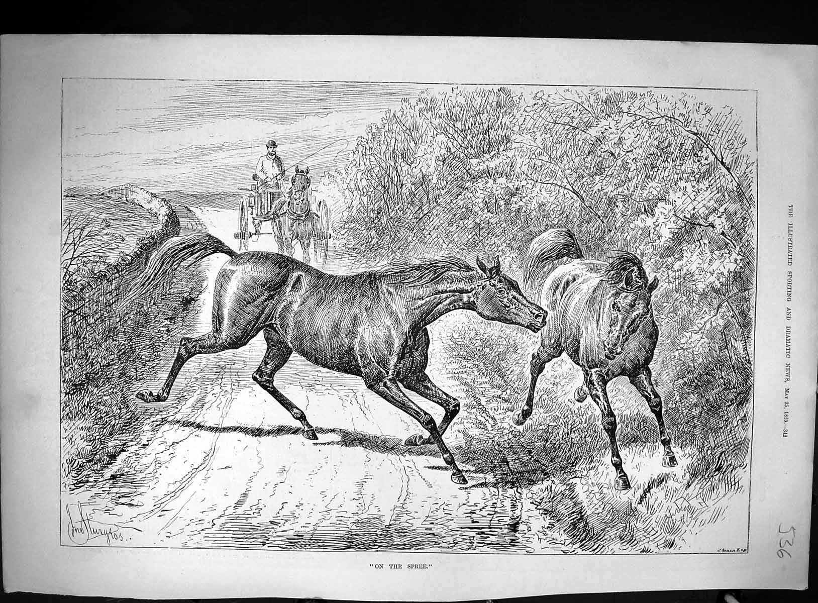 Antique Print 1889 Country Lane Horse Fighting Coach Driver Transport Swain