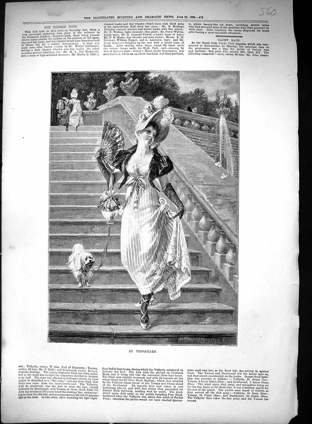 Old 1889 Beautiful Lady Puppy Dog Skipping Down Steps Versailles Fran Victorian