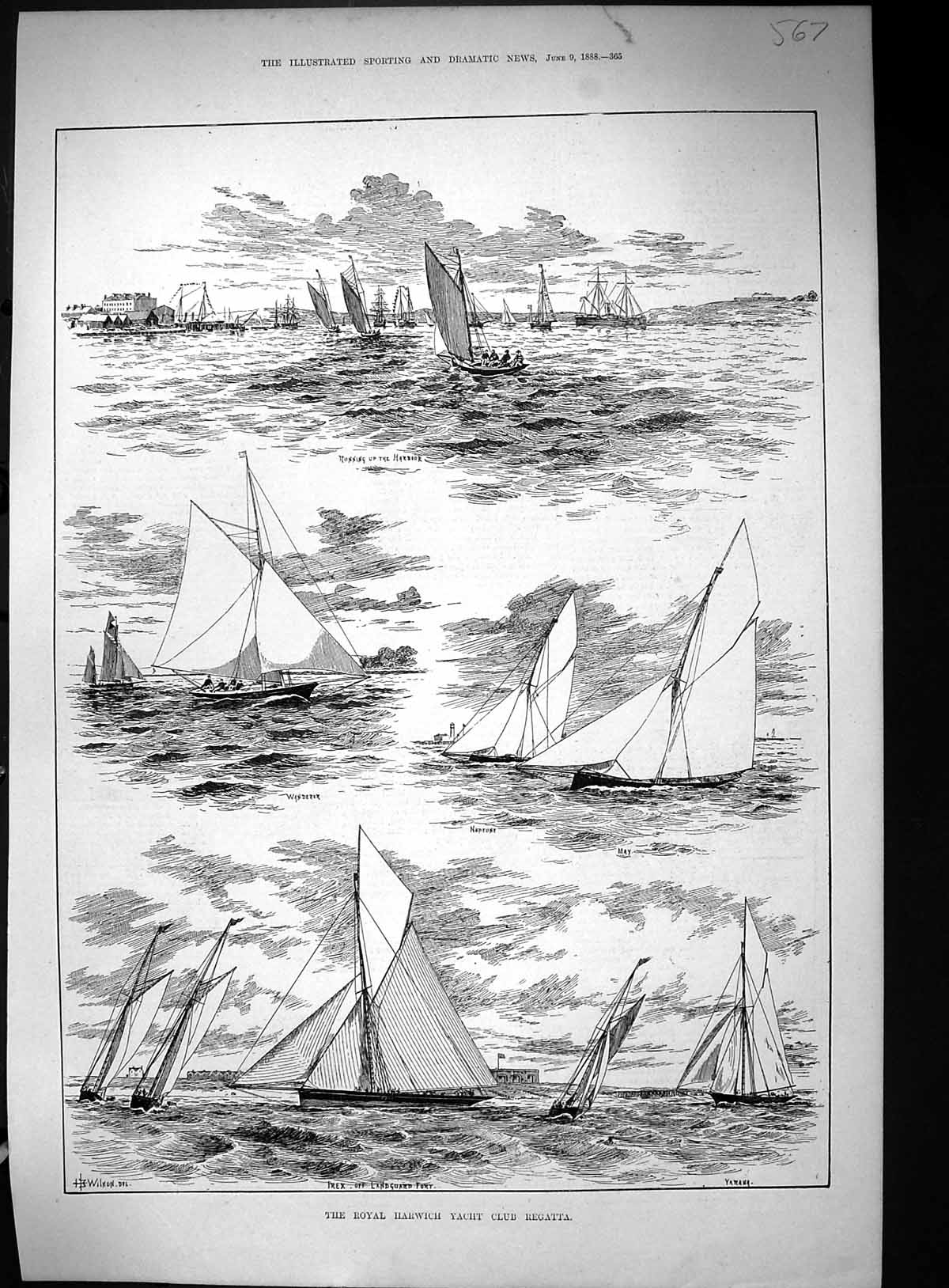 Old 1888 Royal Harwich Yacht Club Regatta Irex Wanderer Neptune Yaran Victorian