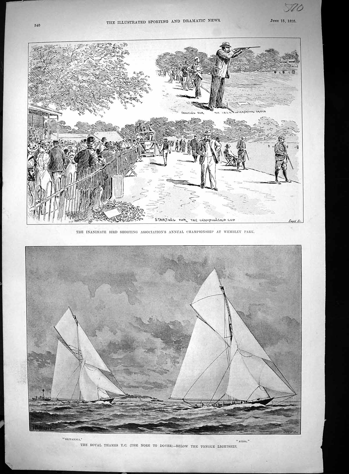 Old 1895 Thames Yacht Nore Dover Ailsa Britannia Clay Pigeon Bird Sho Victorian