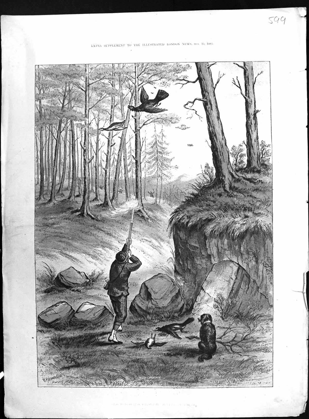 Antique Old Print 1883 Colour Hunting Capercailzie Shooting Birds Gun Dogs 19th