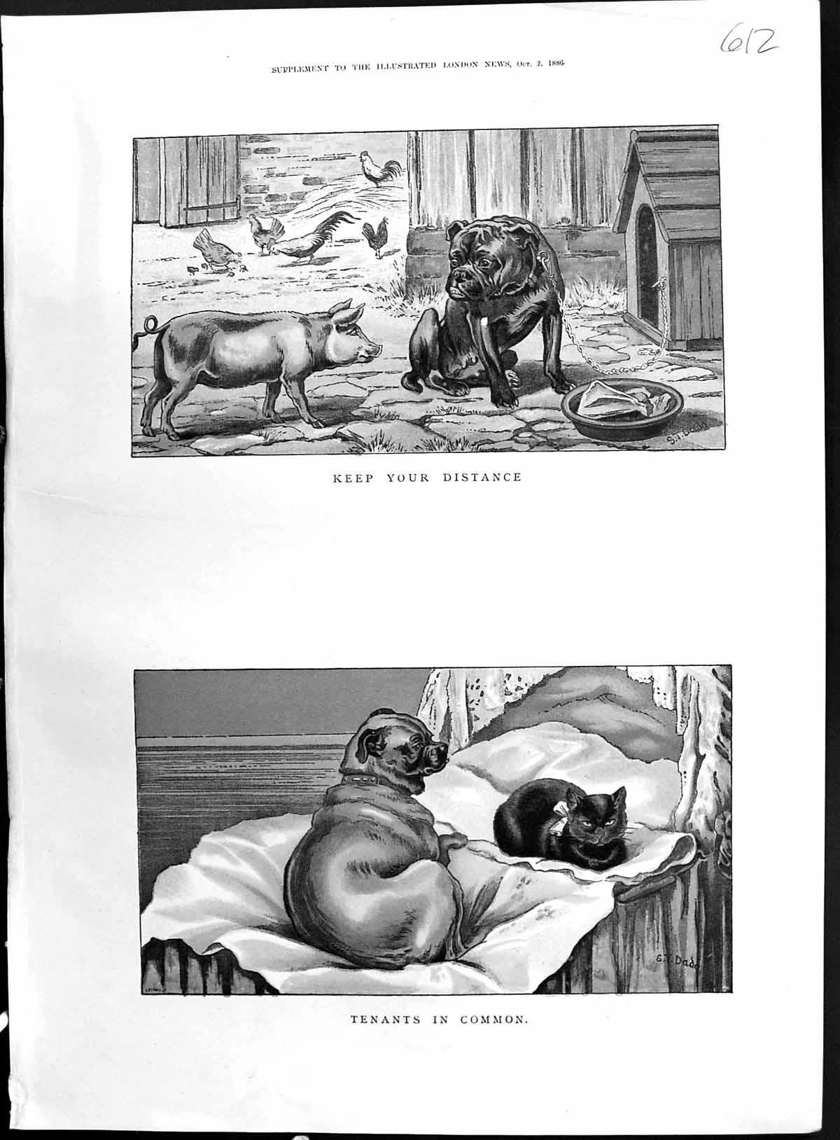 Antique Old Print 1886 Colour Farmyard Animals Guard Dog Pigs Chickens Cat 19th