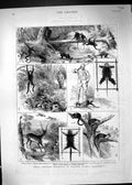 Old Print 1882 India Shooting Excursion Malabar Madras Presidency Hunting 19th