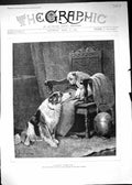 Original Old Antique Print 1889 Silent Sympathy Puppy Dogs Chair Arthur Batt
