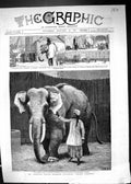 Old 1884 Barnum White Burmese Elephant Toung Taloung Jumbo House Zoo Victorian