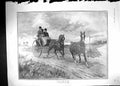Original Old Antique Print 1903 Transport Coach Horses Countryside Scene Wright