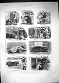 Antique Old Print 1880 Smithfield Lcub Cattle Show Pig Smith Sheep Exhibitors