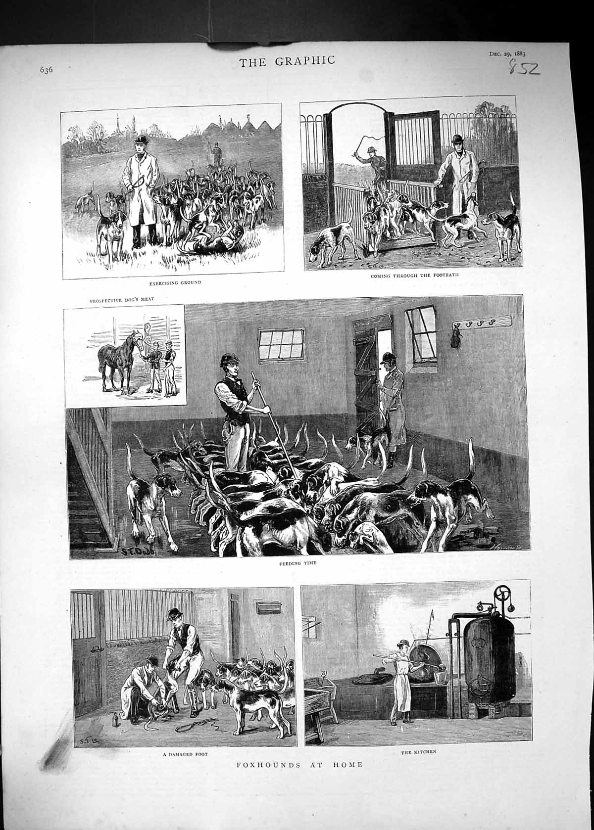 Old Print 1883 Hunting Foxhounds Dogs Exercising Ground Footbath Kitchen 19th