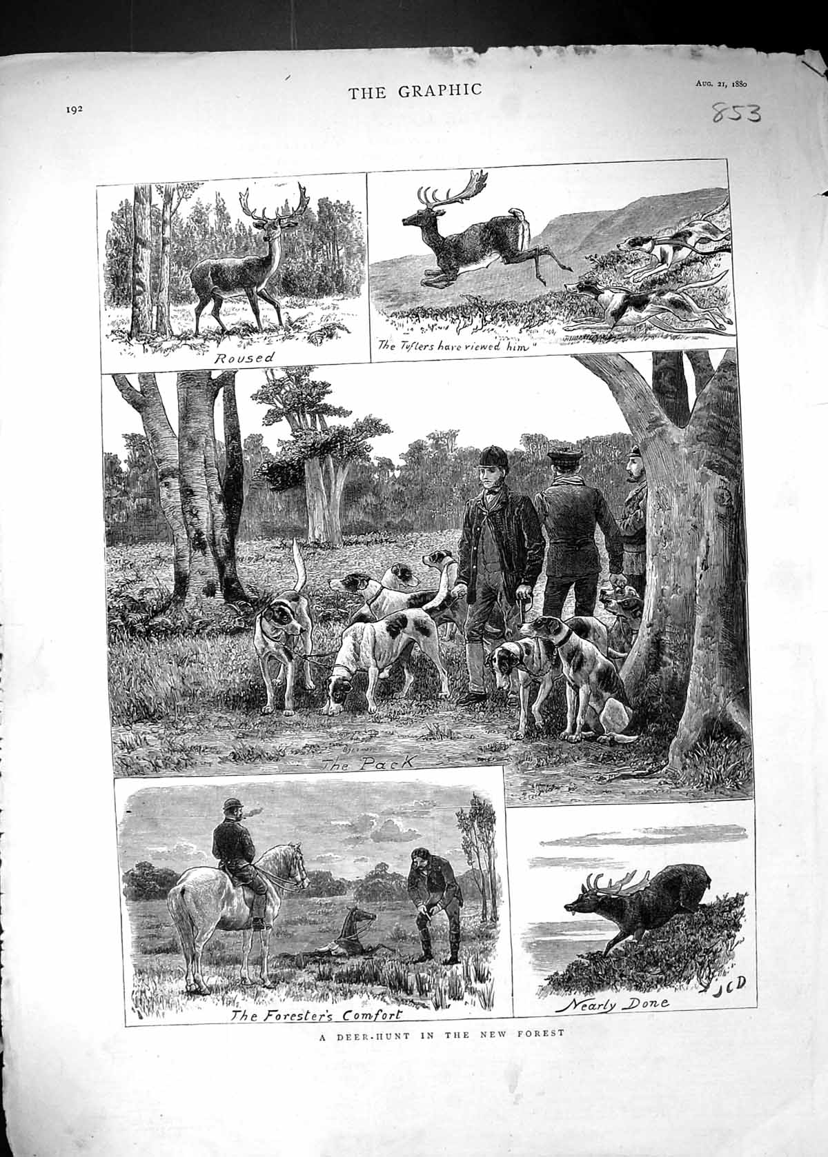 Old Antique Print 1880 Deer Hunting New Forest Hounds Dogs Huntsmen Sport 19th