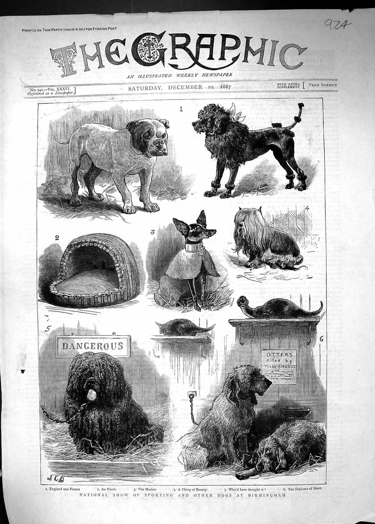 Antique Old Print 1887 National Show Sporting Dogs Birmingham Hounds Bulldog