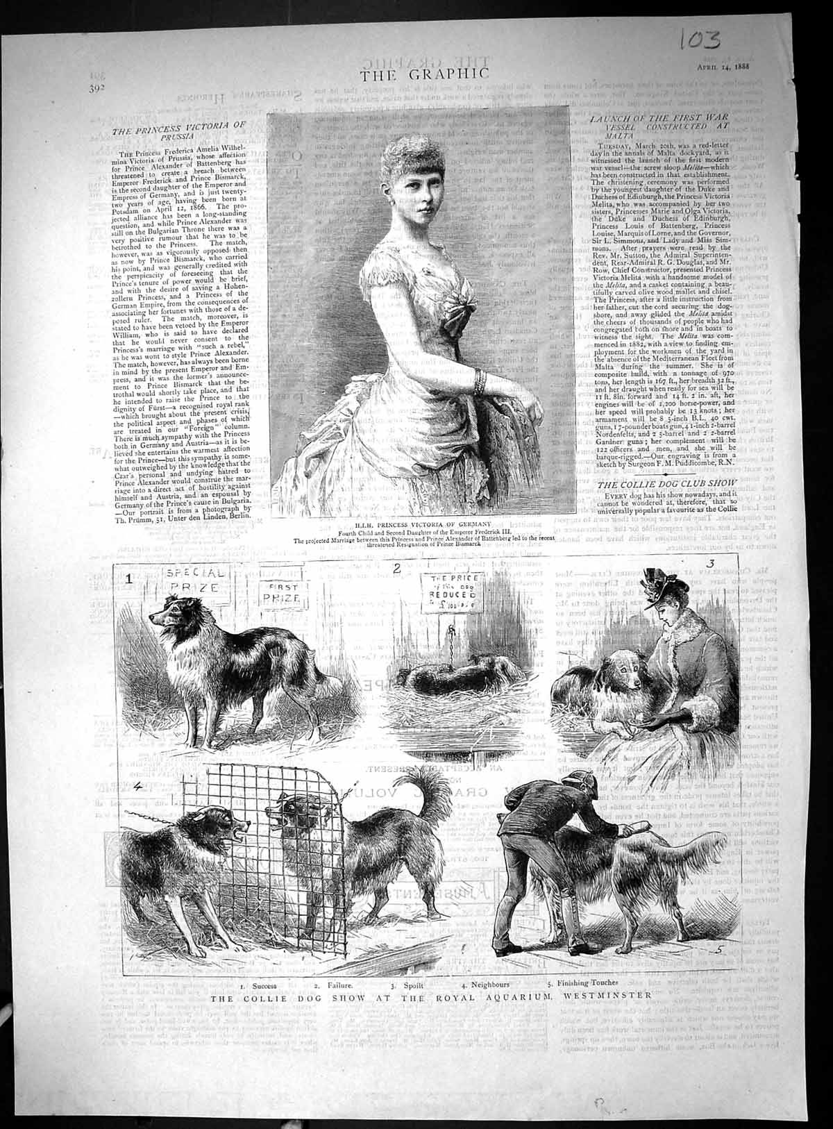 Old 1888 Collie Dog Show Royal Aquarium Westminster Princess Germany Victorian