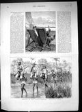 Old 1890 Shooting Africa Mangrove Swamp Romance P And O Steamer Ship Victorian