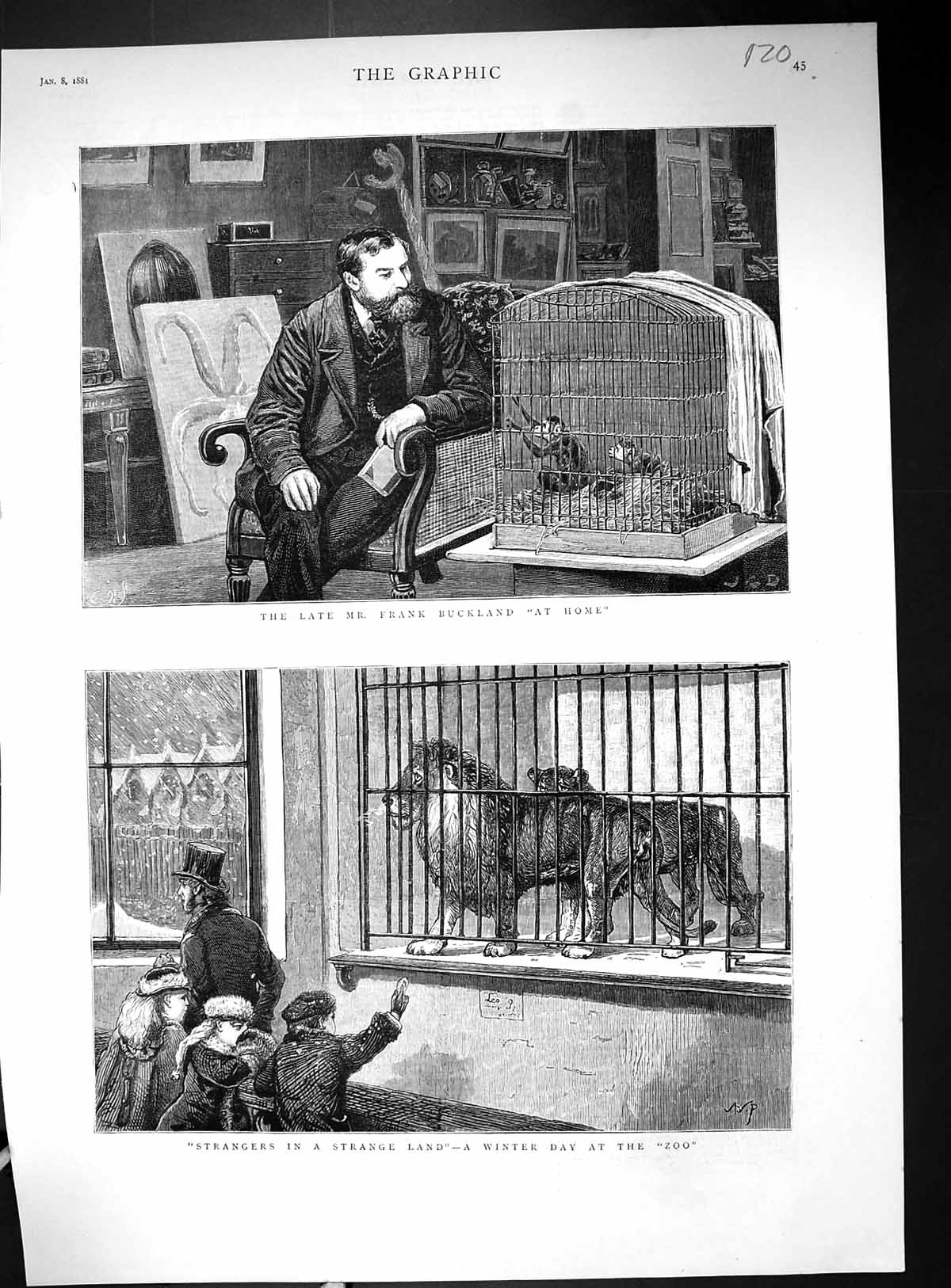 Antique Print 1881 Frank Buckland Monkey Cage Winter Day Zoo Animals Lions 19th